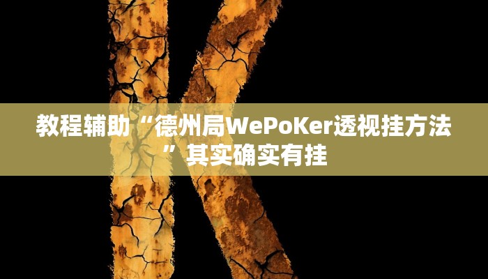 教程辅助“德州局WePoKer透视挂方法”其实确实有挂