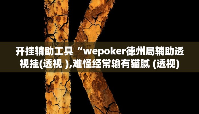 开挂辅助工具“wepoker德州透视软件(透视 ),难怪经常输有猫腻 (透视)