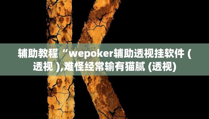 辅助教程“wepoker辅助透视挂软件 (透视 ),难怪经常输有猫腻 (透视)