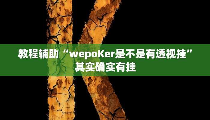 教程辅助“wepoKer是不是有透视挂”其实确实有挂