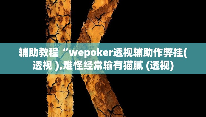 辅助教程“wepoker透视辅助作弊挂(透视 ),难怪经常输有猫腻 (透视)