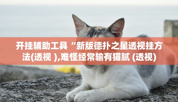 开挂辅助工具“新版德扑之星透视挂方法(透视 ),难怪经常输有猫腻 (透视)