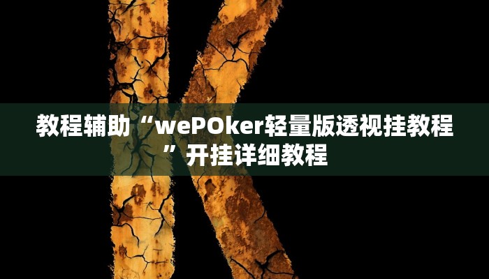 开挂辅助工具“最新wepoker透视挂,难怪经常输&原来有猫腻