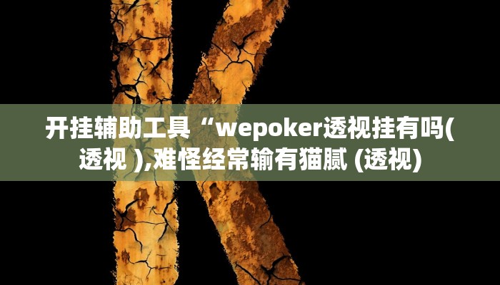 开挂辅助工具“wepoker透视挂有吗(透视 ),难怪经常输有猫腻 (透视)