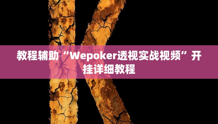 教程辅助“Wepoker透视实战视频”开挂详细教程