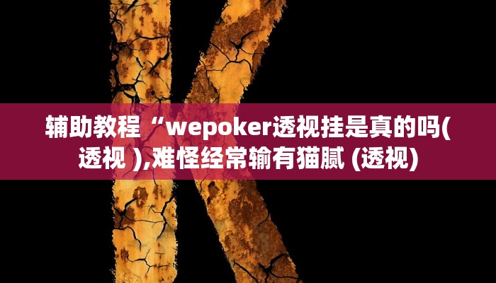 辅助教程“wepoker透视挂是真的吗(透视 ),难怪经常输有猫腻 (透视)