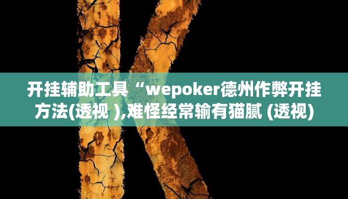 开挂辅助工具“wepoker德州作弊开挂方法(透视 ),难怪经常输有猫腻 (透视)