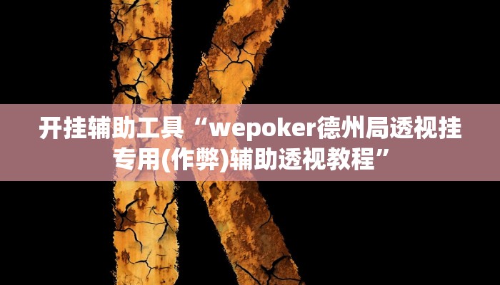 开挂辅助工具“wepoker德州局透视挂专用(作弊)辅助透视教程”