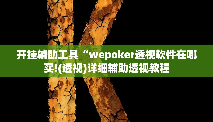开挂辅助工具“wepoker透视软件在哪买!(透视)详细辅助透视教程