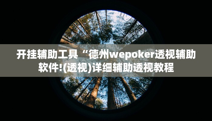 辅助教程“Winner透视作弊挂教程,难怪经常输&原来有猫腻