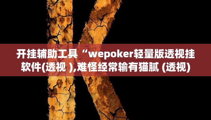 开挂辅助工具“wepoker轻量版透视挂软件(透视 ),难怪经常输有猫腻 (透视)