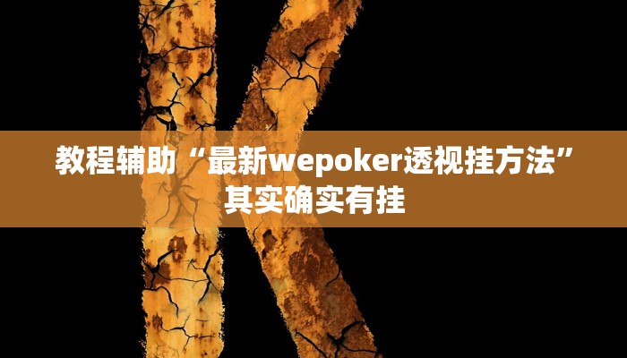 教程辅助“最新wepoker透视挂方法”其实确实有挂