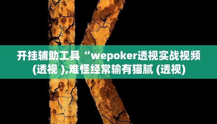 开挂辅助工具“wepoker透视实战视频(透视 ),难怪经常输有猫腻 (透视)
