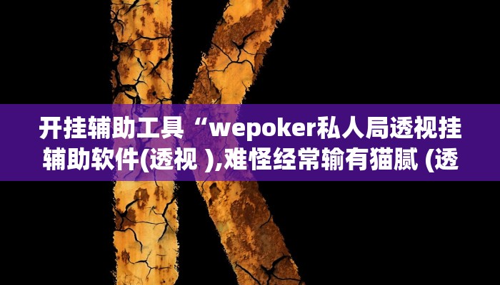 开挂辅助工具“wepoker私人局透视挂辅助软件(透视 ),难怪经常输有猫腻 (透视)