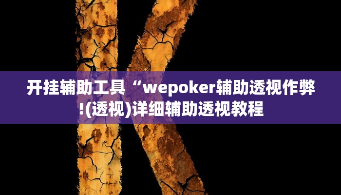 开挂辅助工具“wepoker辅助透视作弊!(透视)详细辅助透视教程