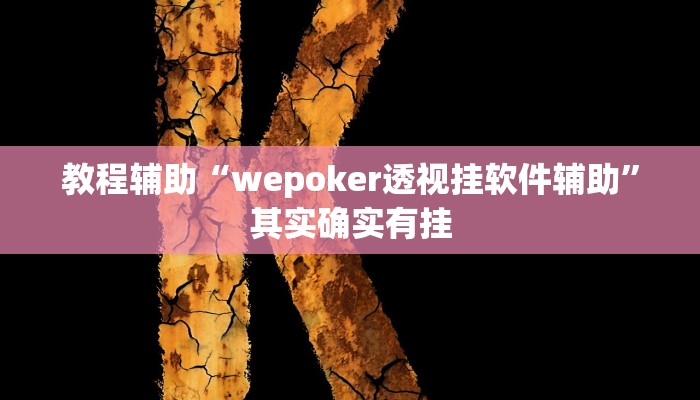 教程辅助“wepoker透视挂软件辅助”其实确实有挂