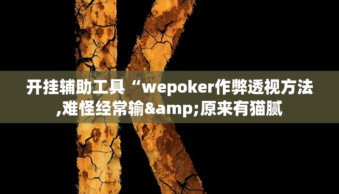 开挂辅助工具“wepoker作弊透视方法,难怪经常输&原来有猫腻
