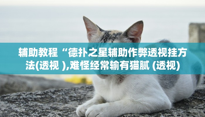 辅助教程“德扑之星辅助作弊透视挂方法(透视 ),难怪经常输有猫腻 (透视) 辅助教程“德扑之星辅助作弊透视挂方法(透视 ),难怪经常输有猫腻 (透视)