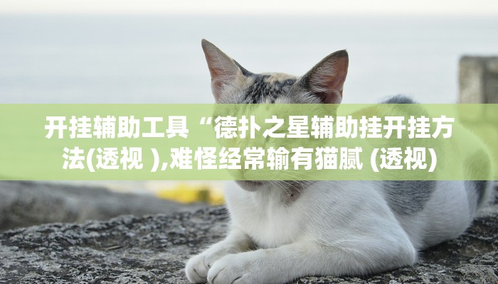 开挂辅助工具“德扑之星辅助挂开挂方法(透视 ),难怪经常输有猫腻 (透视) 开挂辅助工具“德扑之星辅助挂开挂方法(透视 ),难怪经常输有猫腻 (透视)