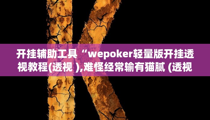开挂辅助工具“wepoker轻量版开挂透视教程(透视 ),难怪经常输有猫腻 (透视)