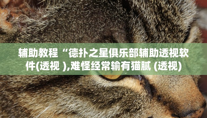 辅助教程“德扑之星俱乐部辅助透视软件(透视 ),难怪经常输有猫腻 (透视)