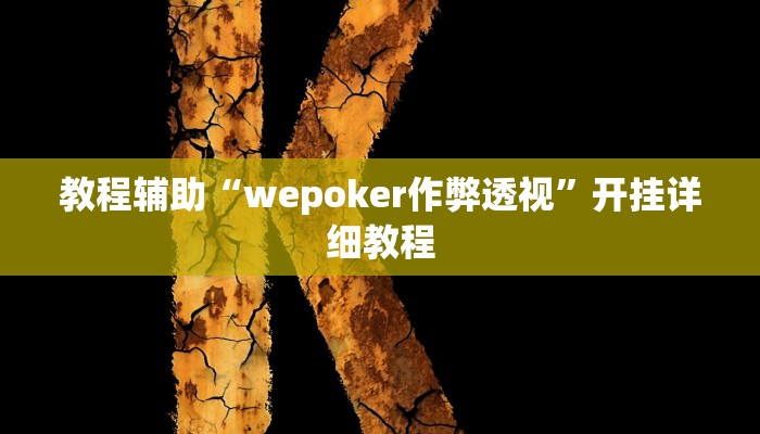 教程辅助“wepoker作弊透视”开挂详细教程