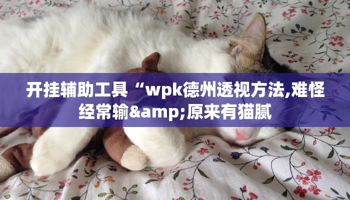 开挂辅助工具“wpk德州透视方法,难怪经常输&原来有猫腻 开挂辅助工具“wpk德州透视方法,难怪经常输&原来有猫腻