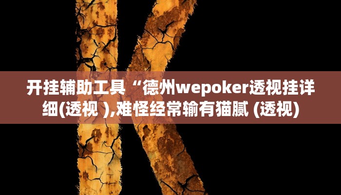 开挂辅助工具“德州wepoker透视挂详细(透视 ),难怪经常输有猫腻 (透视)