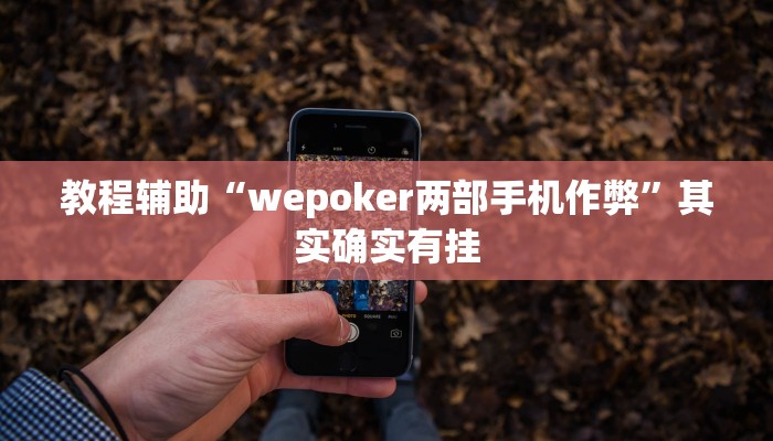 教程辅助“wepoker两部手机作弊”其实确实有挂