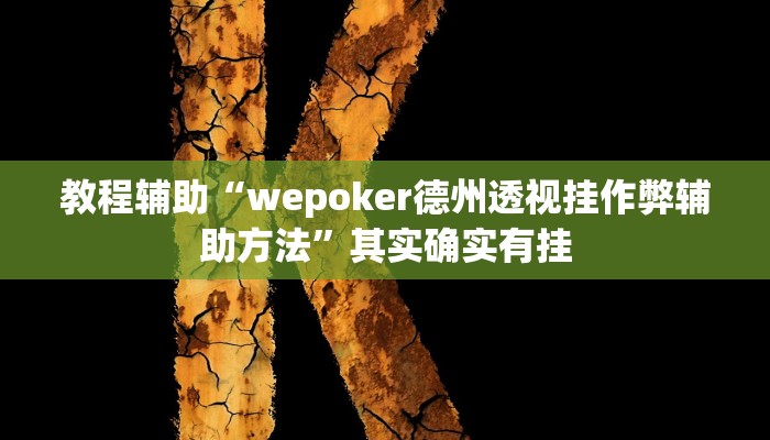 教程辅助“wepoker德州透视挂作弊辅助方法”其实确实有挂