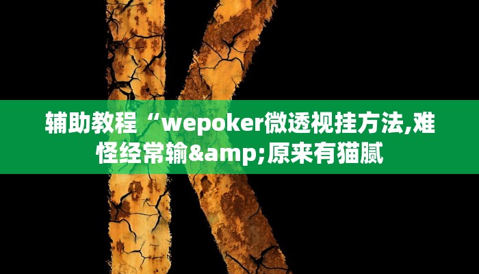 辅助教程“Winner透视作弊挂教程(透视 )!详细教程透视方法
