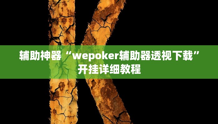 辅助神器“wepoker辅助器透视下载”开挂详细教程