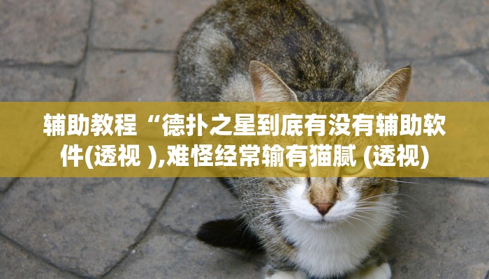 辅助教程“wepoker德州开挂透视软件(透视 )!详细教程透视方法