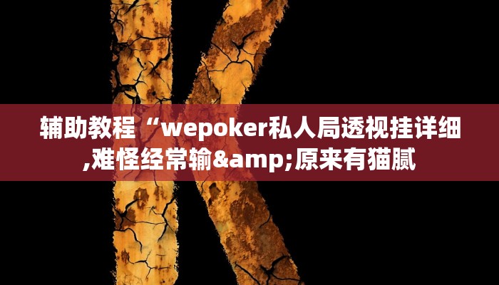 辅助教程“wepoker私人局透视挂详细,难怪经常输&原来有猫腻