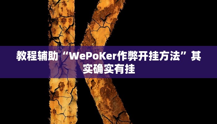 教程辅助“WePoKer作弊开挂方法”其实确实有挂
