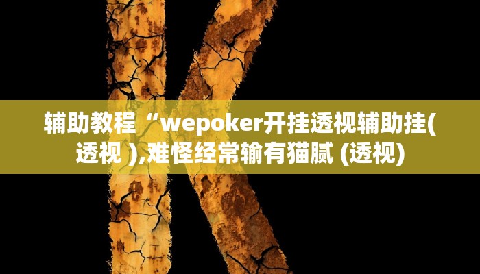 辅助教程“wepoker开挂透视辅助挂(透视 ),难怪经常输有猫腻 (透视)