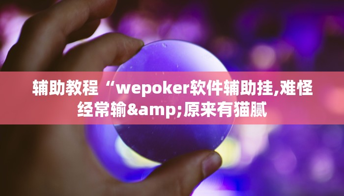 开挂辅助工具“wepoker透视辅助挂,难怪经常输&原来有猫腻