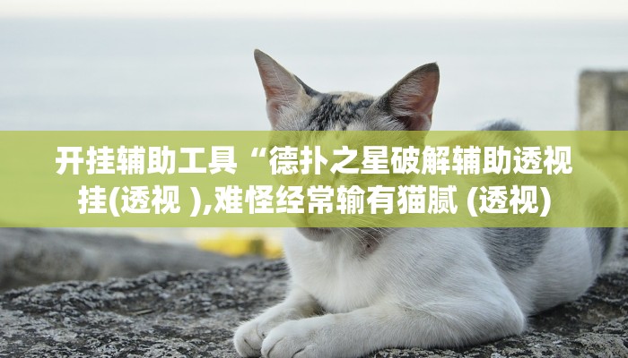 开挂辅助工具“德扑之星破解辅助透视挂(透视 ),难怪经常输有猫腻 (透视)