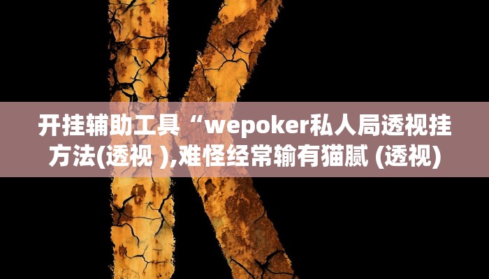 开挂辅助工具“wepoker私人局透视挂方法(透视 ),难怪经常输有猫腻 (透视)