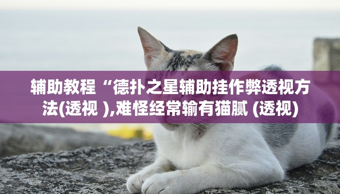 辅助教程“德扑之星辅助挂作弊透视方法(透视 ),难怪经常输有猫腻 (透视)