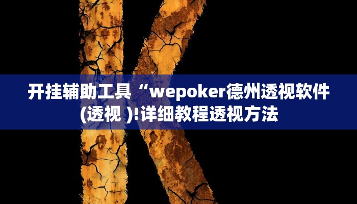 开挂辅助工具“hhpoker透视脚本(透视 ),难怪经常输有猫腻 (透视)