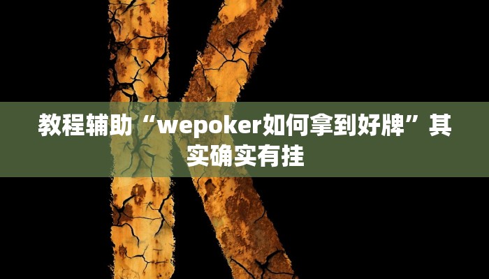 辅助教程“wepoker辅助挂透视挂作弊挂(透视 )!详细教程透视方法