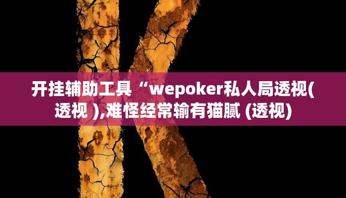 开挂辅助工具“wepoker私人局透视(透视 ),难怪经常输有猫腻 (透视)