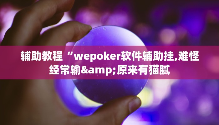 辅助教程“wepoker软件辅助挂,难怪经常输&原来有猫腻