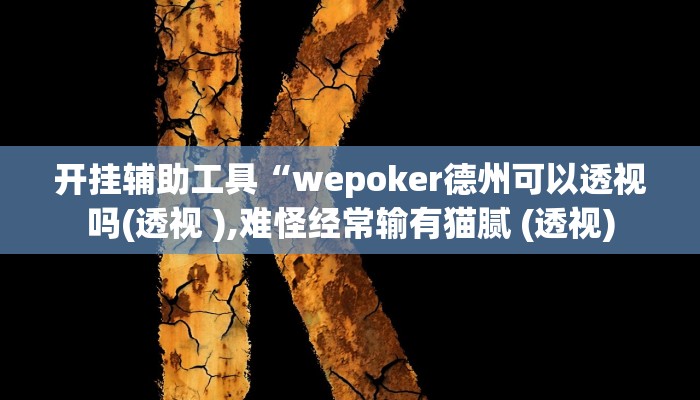 开挂辅助工具“wepoker德州可以透视吗(透视 ),难怪经常输有猫腻 (透视)
