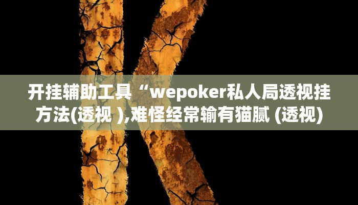 玩家辅助神器:“wepokerplus透视挂下载方法”开挂详细教程