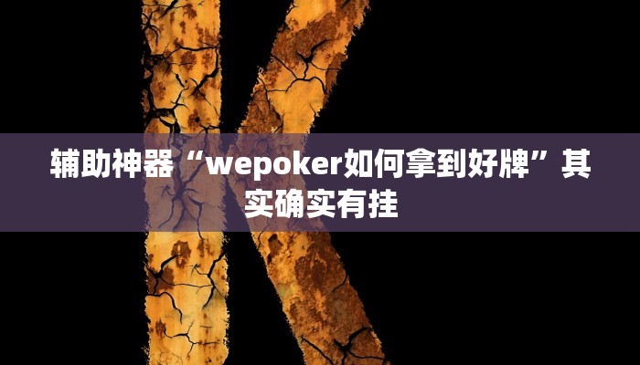 开挂辅助工具“德州局wepoker透视!(透视)详细辅助透视教程