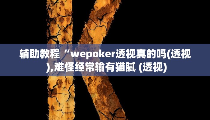 辅助教程“wepoker透视真的吗(透视 ),难怪经常输有猫腻 (透视)