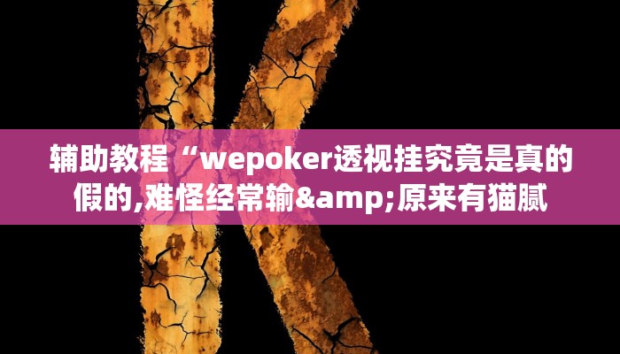 辅助教程“hhpoker透视辅助作弊教程(透视 )!详细教程透视方法