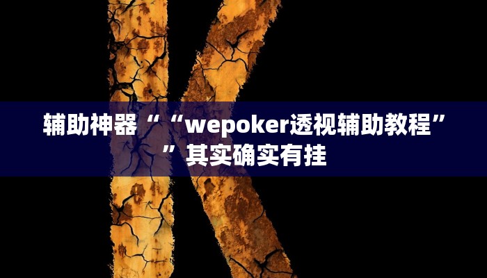 辅助神器““wepoker透视辅助教程””其实确实有挂